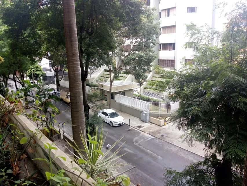 Vista 24