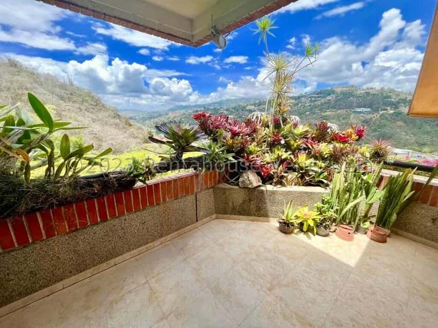 View 50