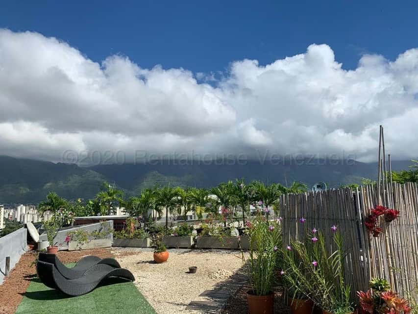 View 12