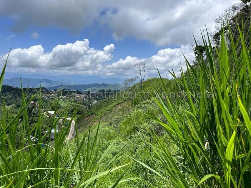 View 1