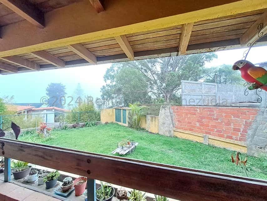 View 25