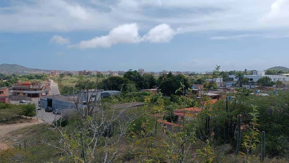 Vista 9