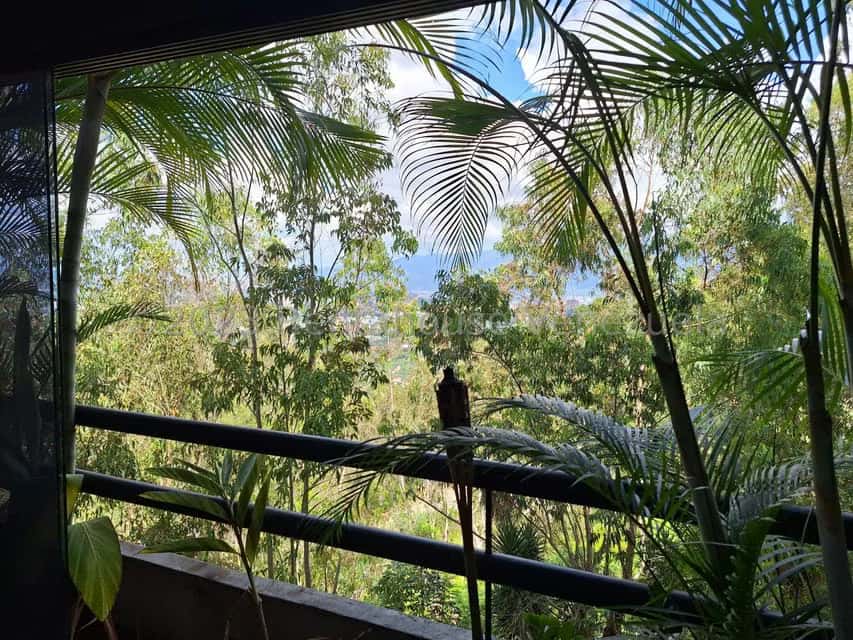 View 6