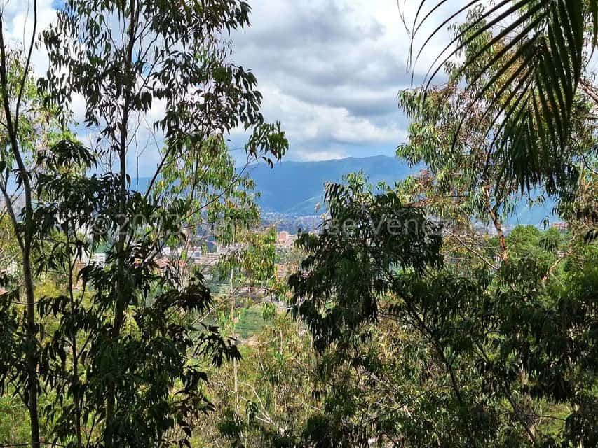 View 7