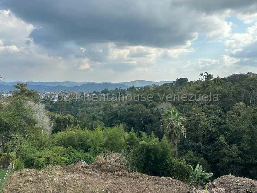View 4