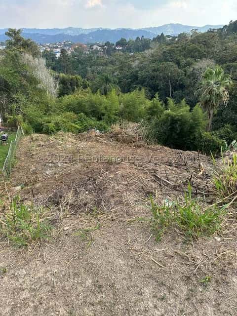 View 5