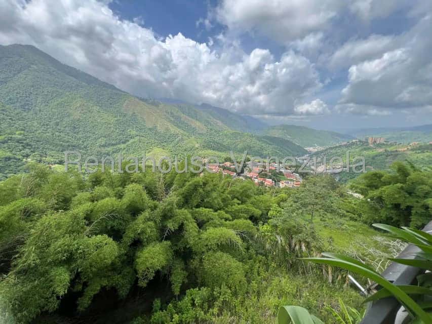 View 16