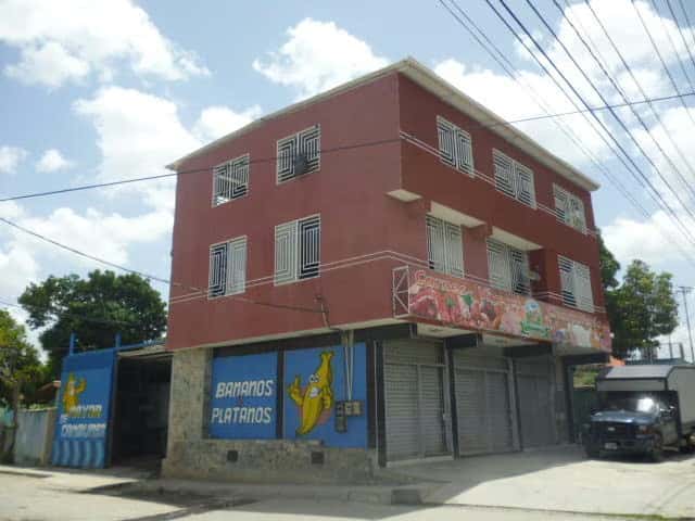Vista 1