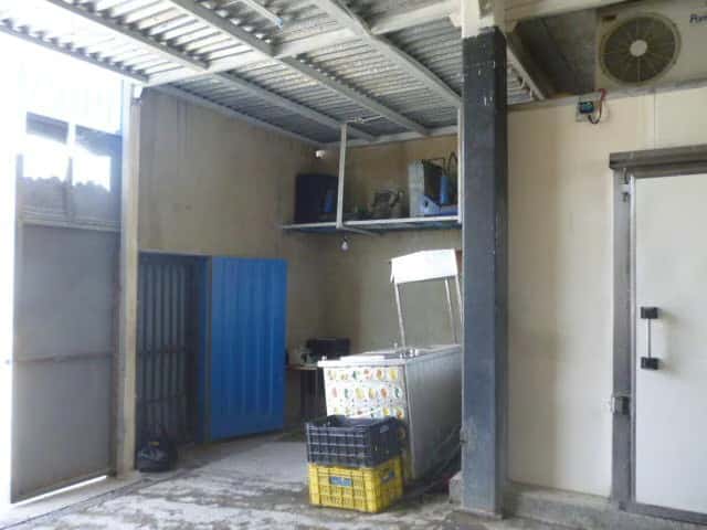 Vista 14