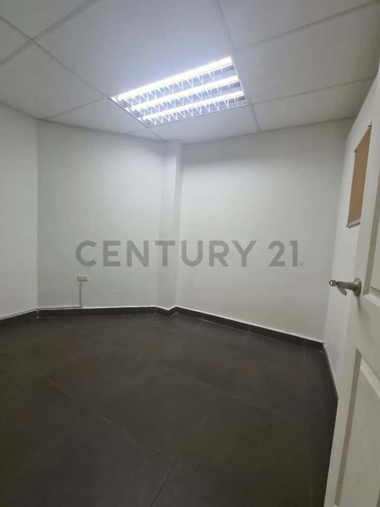 Vista 11
