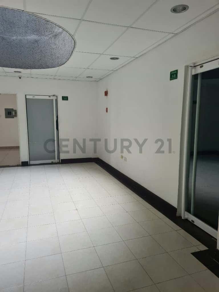 Vista 3