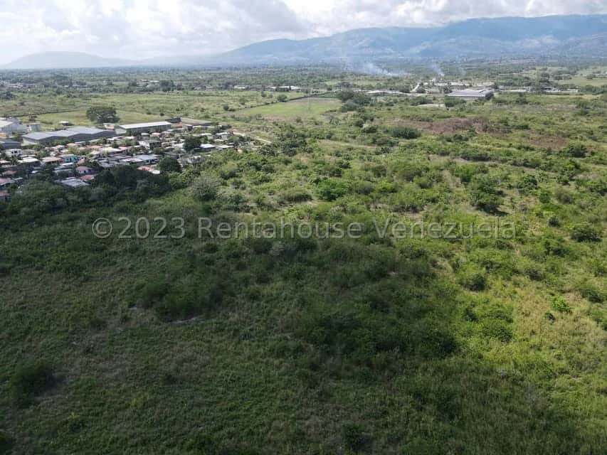 View 6
