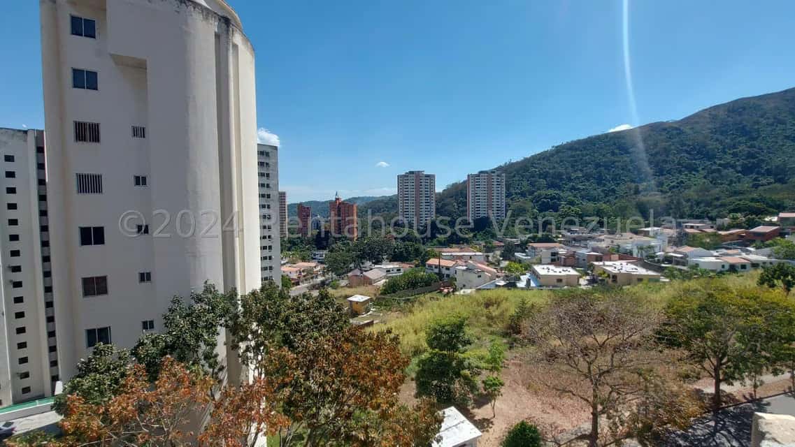 View 41