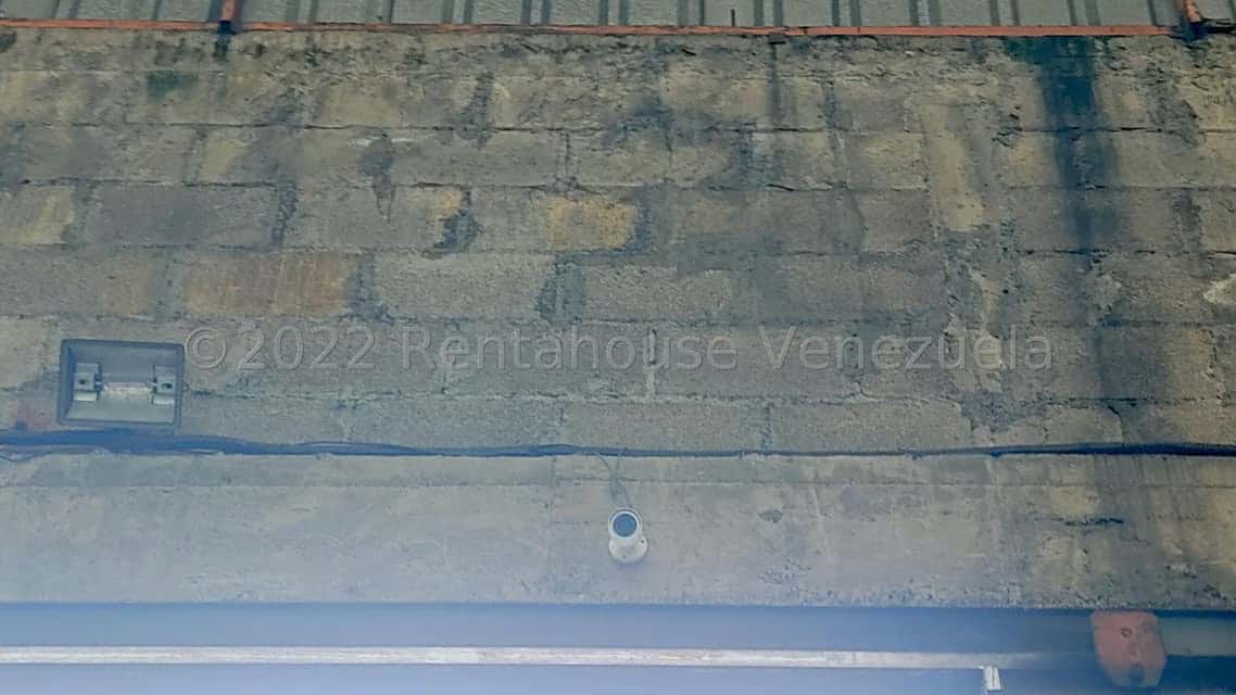 Vista 19