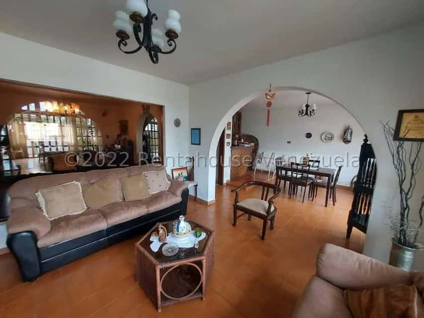 Vista 19