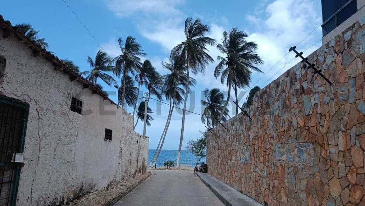 Vista 3