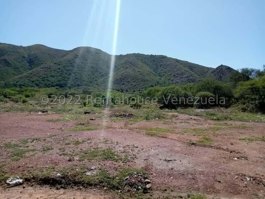 Vista 5