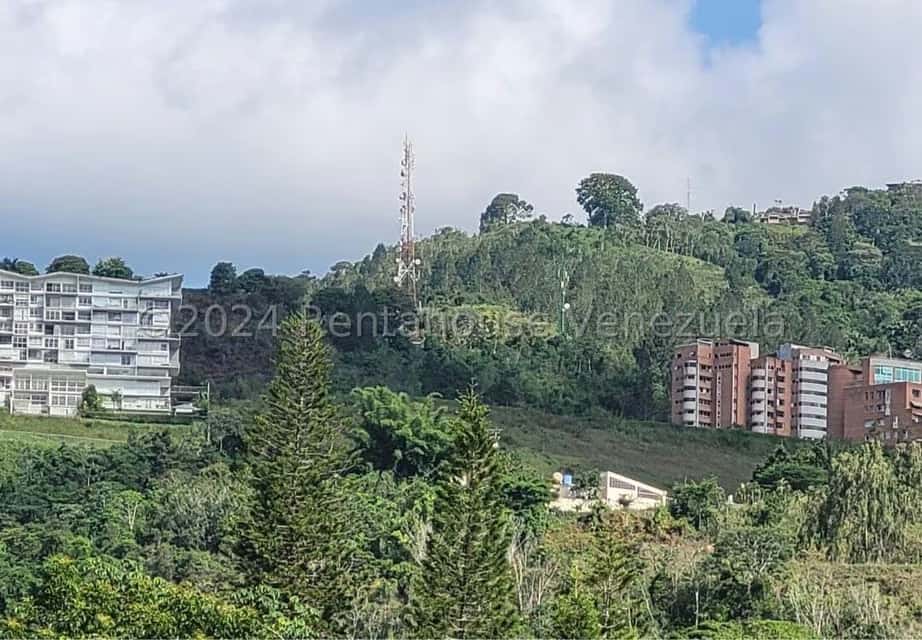View 7