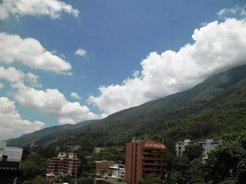 View 38