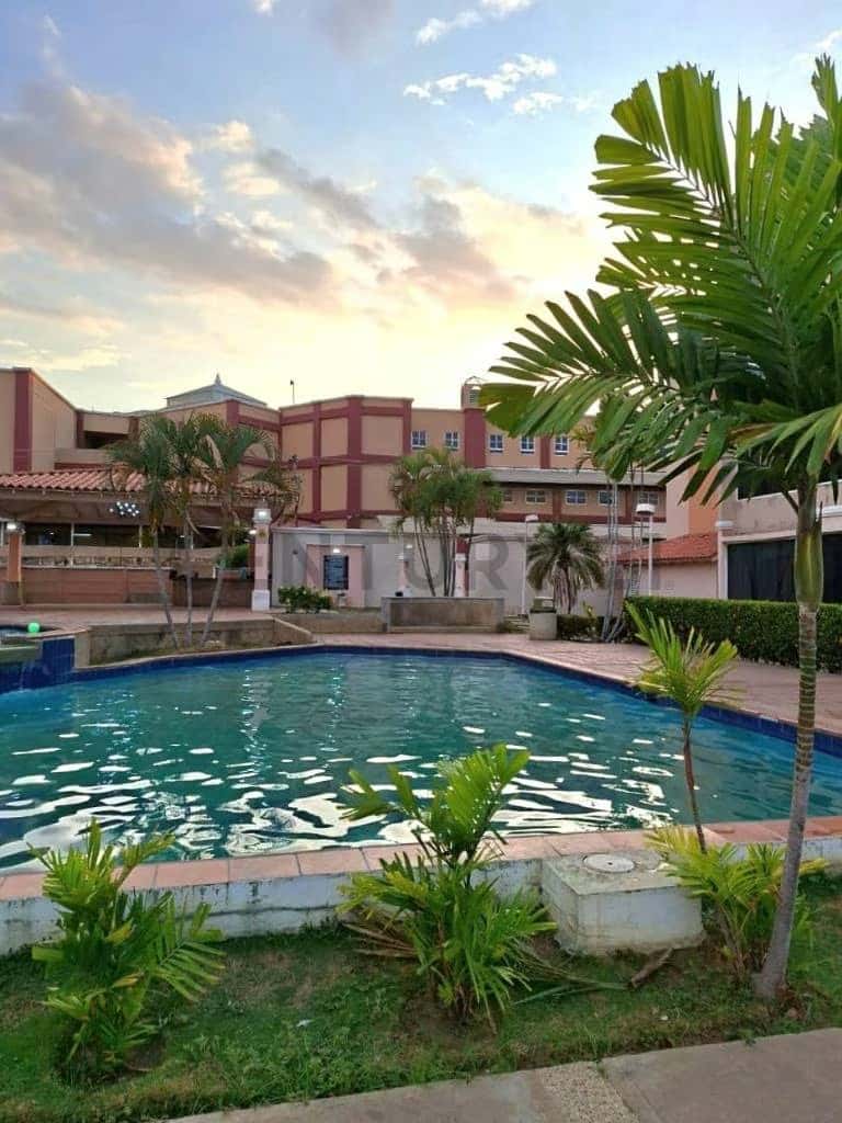 Vista 1