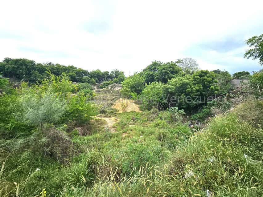 View 6