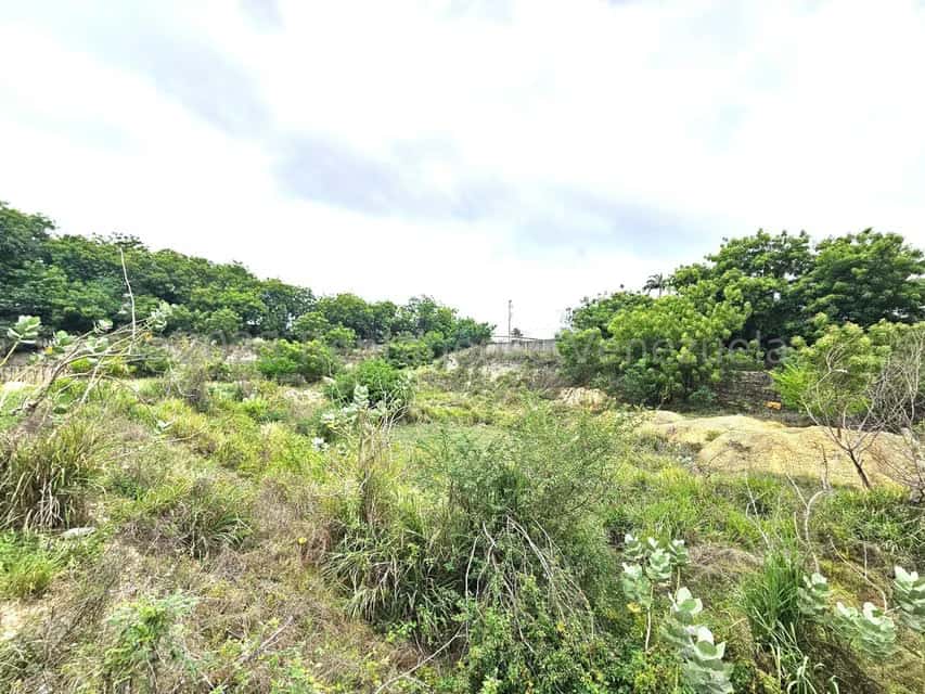 View 9