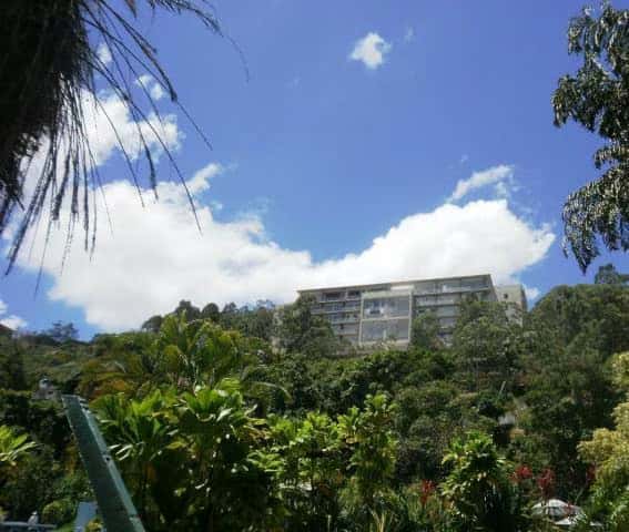 View 10