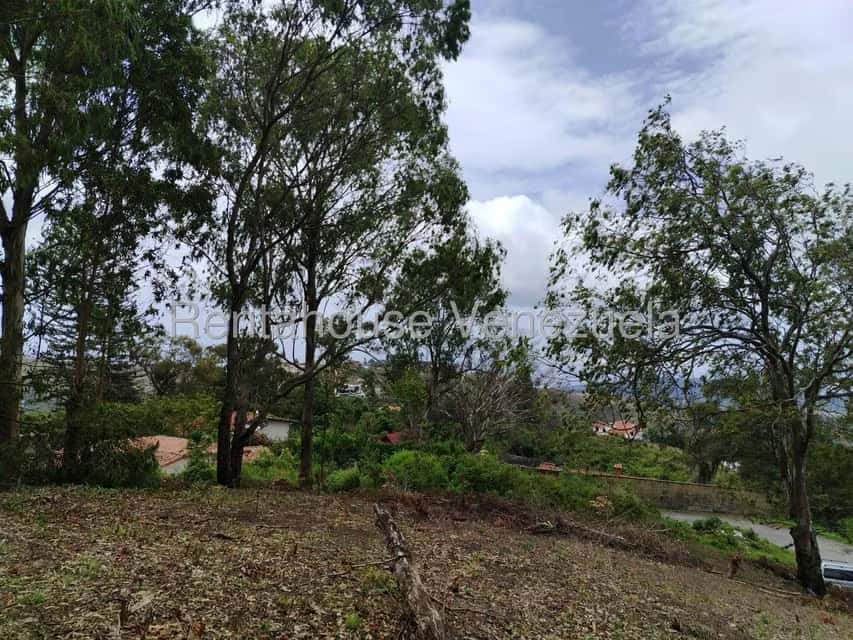 View 14