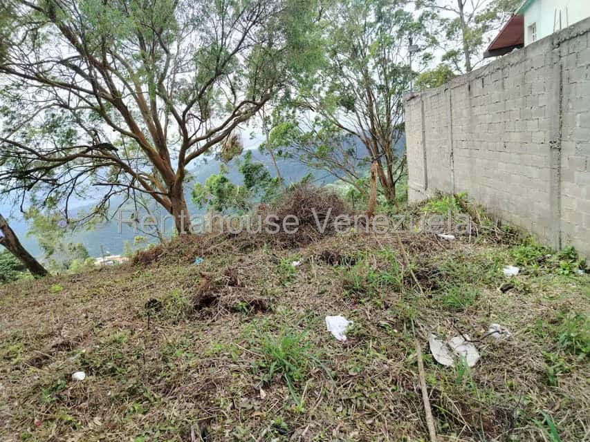 View 15