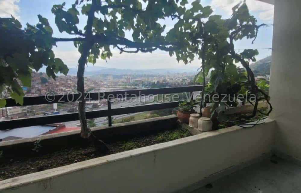 View 15