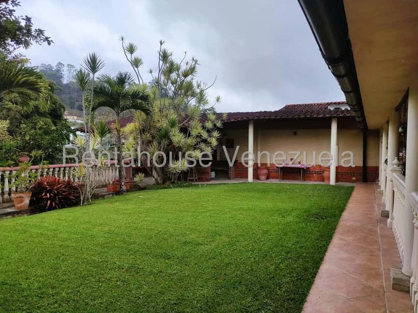 Vista 23