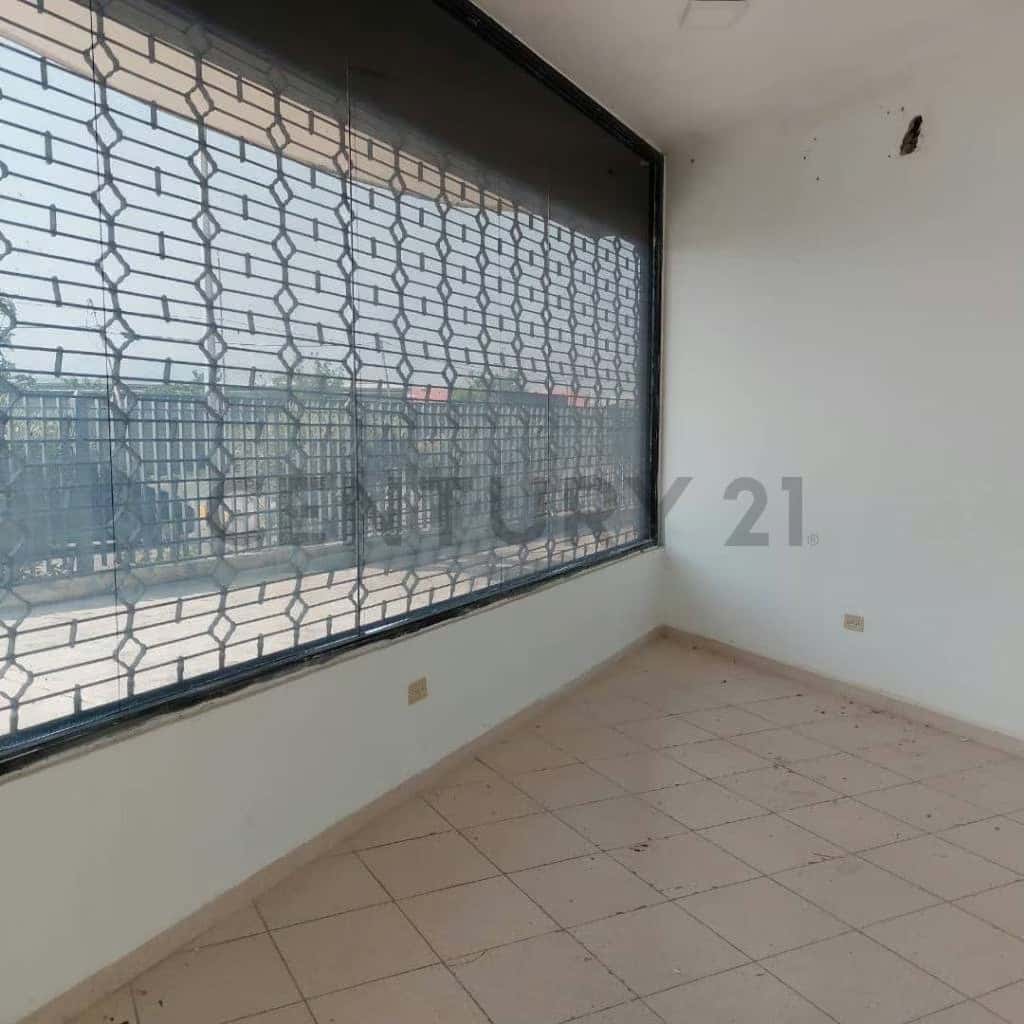 Vista 6