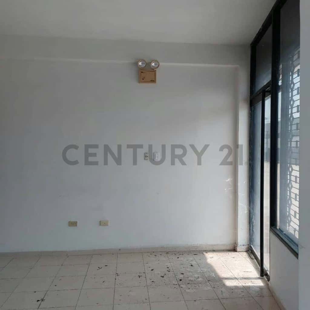 Vista 7