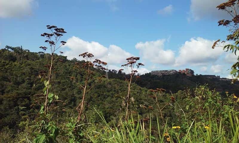 Vista 5