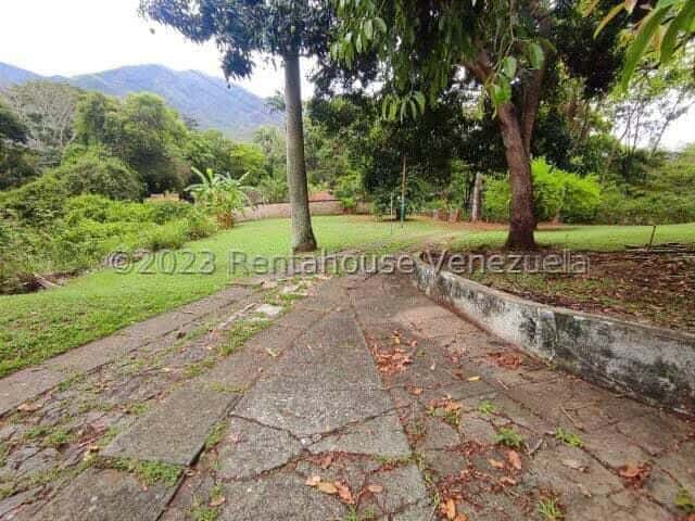View 21