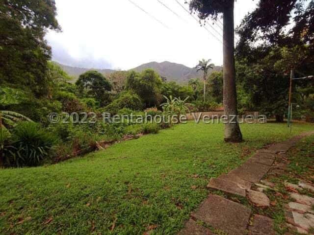 View 24