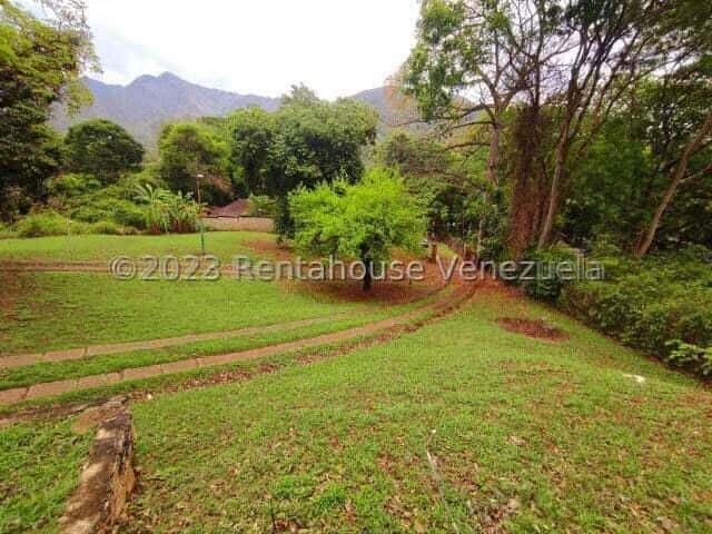 View 26