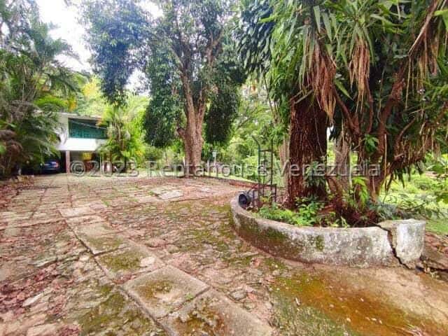 View 6
