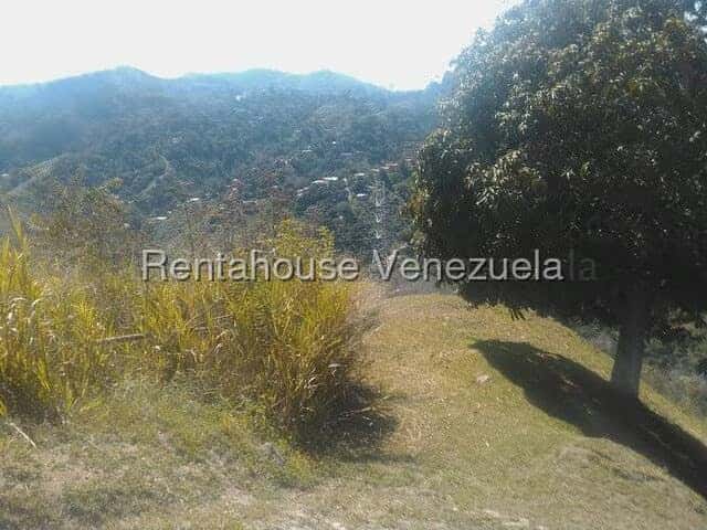 View 19