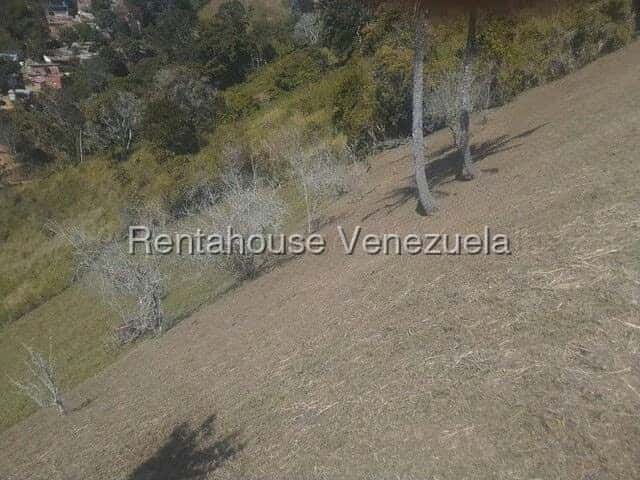 View 22