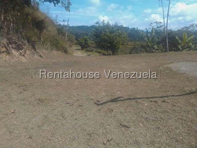 View 23