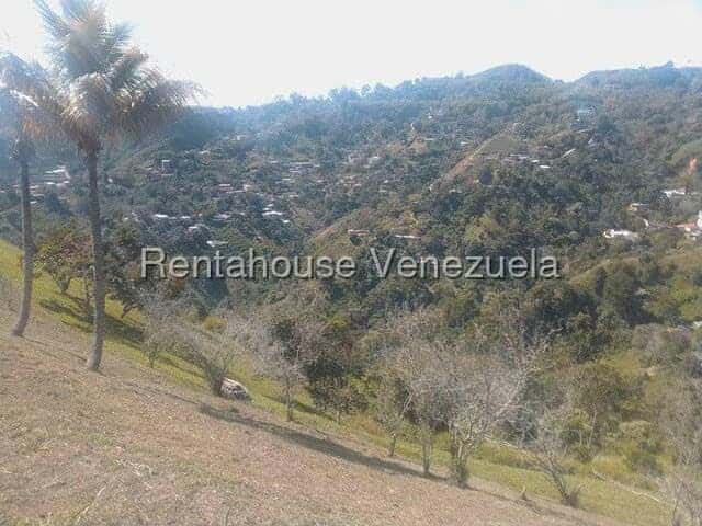 View 24