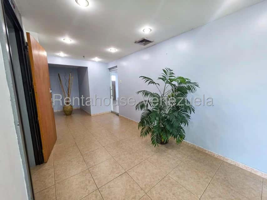 Vista 3