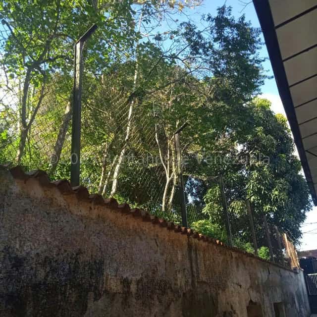 View 55