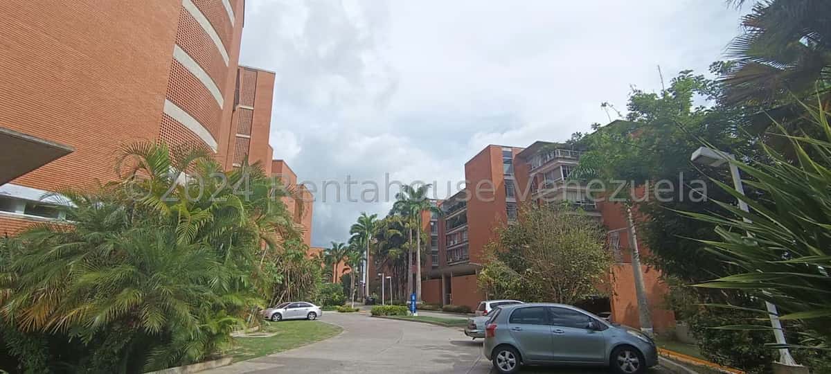 View 24