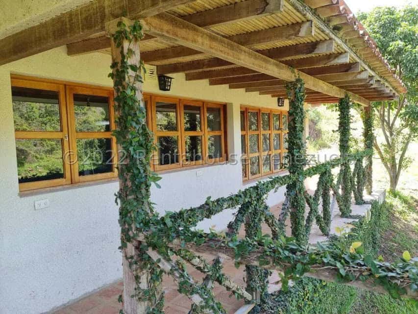 View 37
