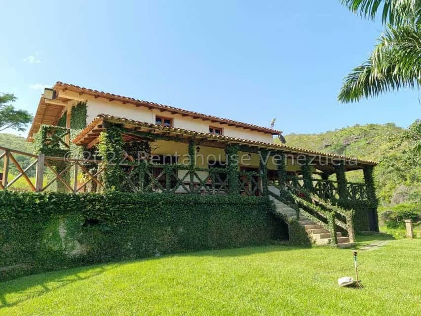 View 39