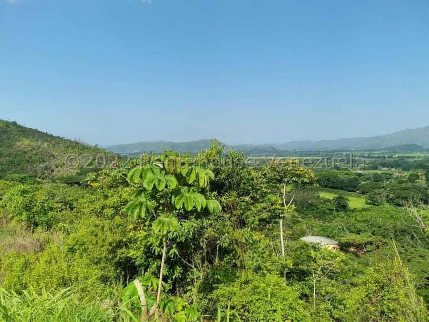 View 45