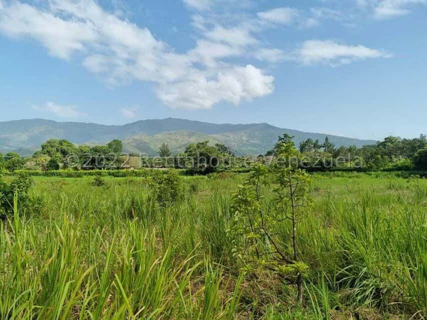 View 57