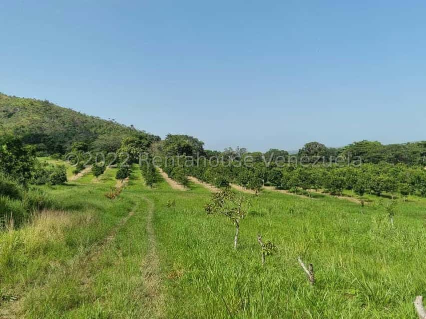 View 60